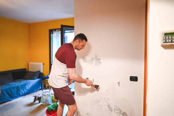 Best Post-Flood Mold Remediation in Moa, UT